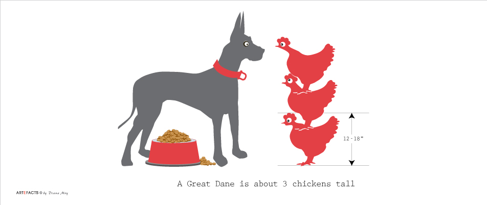 Great Dane & Chicken